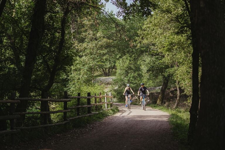 Fietsvakantie Italië | Fietsroute langs de oudste wijngaarden van Zuid-Tirol 3 cms Italie Zuid Tirol wijnroute Alto Adige Wine Road t 4