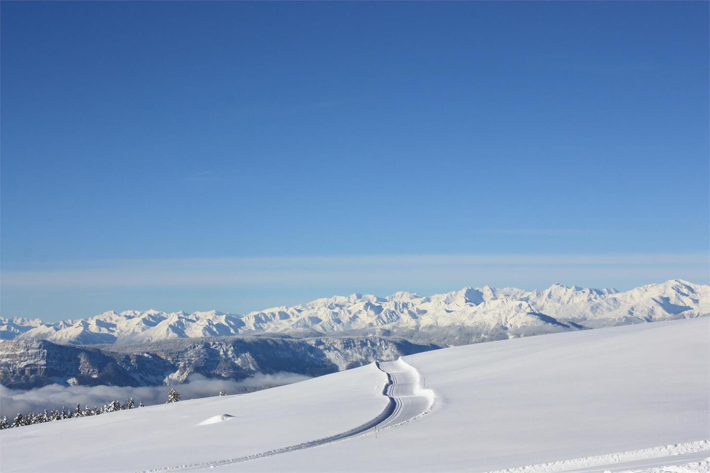 sneeuwzekere skigebieden