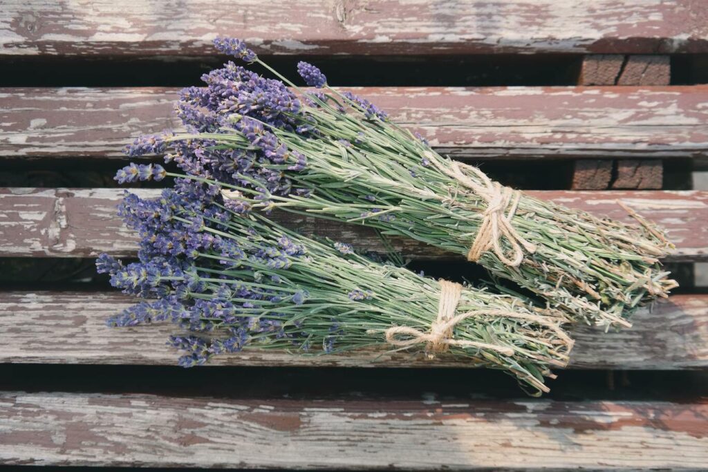 Vier je mooiste vakantie in Frankrijk | Met deze lavendel tips 11 Frankrijk Drôme Provençale