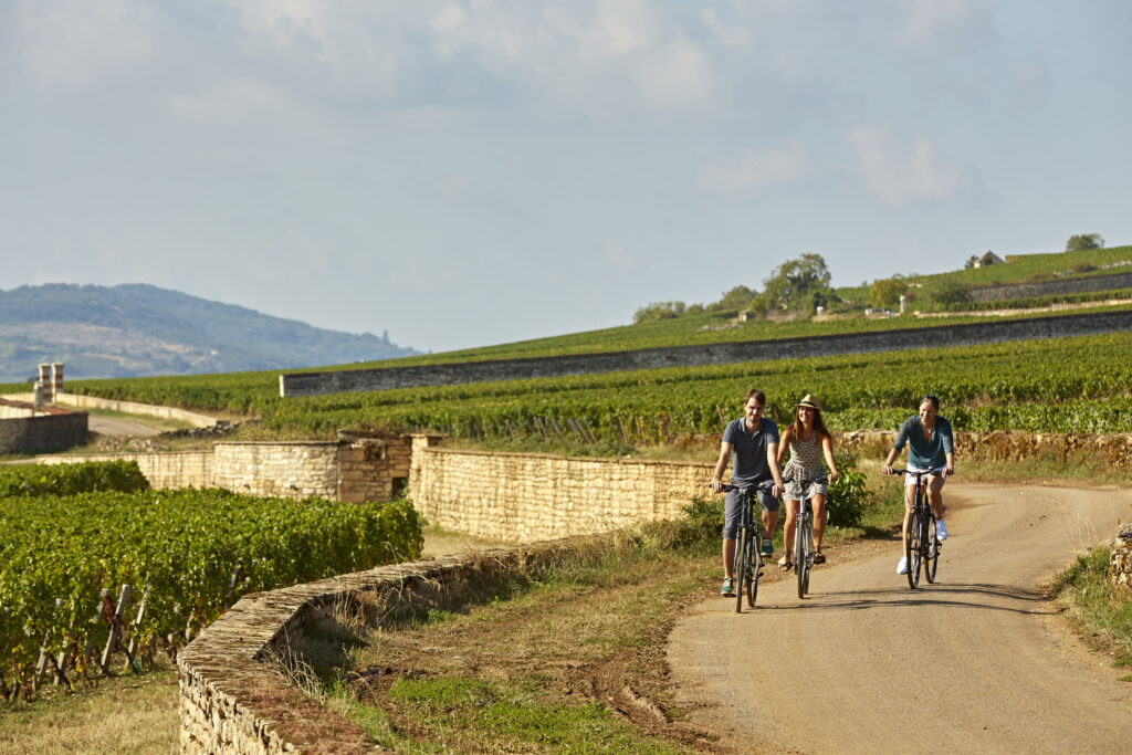 Frankrijk fietsland 3 Frankrijk fietsland voie des vignes beaune tourisme studio piffaut