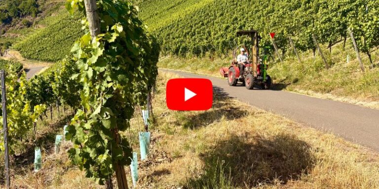 Weingut claes