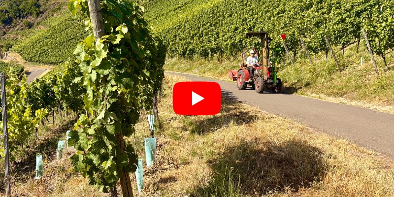 Weingut claes