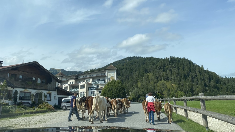Herfstvakantie met het gezin aan de Achensee | Familie paradijs in Tirol 3 familievakantie-kindvriendelijk-hotel-familienparadies-sporthotel-achensee