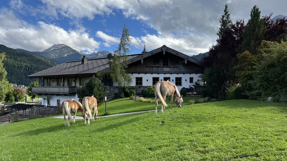 Herfstvakantie met het gezin aan de Achensee | Familie paradijs in Tirol 16 familievakantie kindvriendelijk hotel familienparadies sporthotel achensee paarden ©travelsbymonique