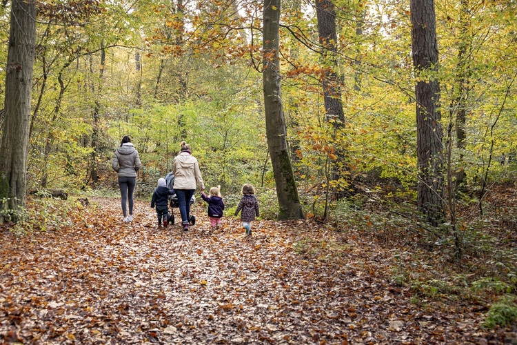 Wandelen en fietsen in Frankrijk | De mooiste routes voor het hele gezin 2 Frankrijk wandelen