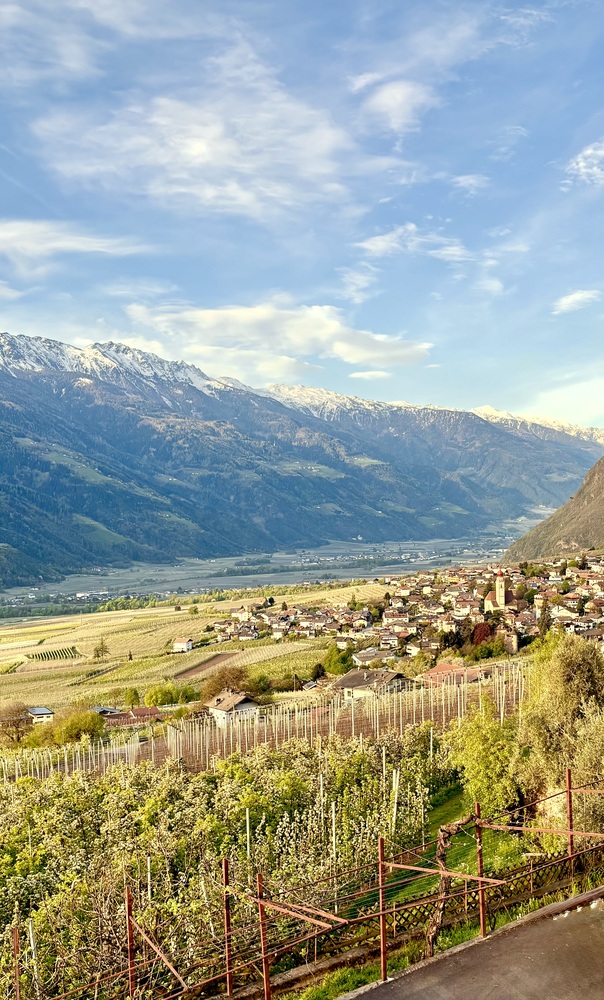 Voel het voorjaar in Zuid-Tirol | Kom wandelen en genieten tussen bergen en bloesem 5 Zuid-tirol-partschins-voorjaar-vallei-niedermaier
