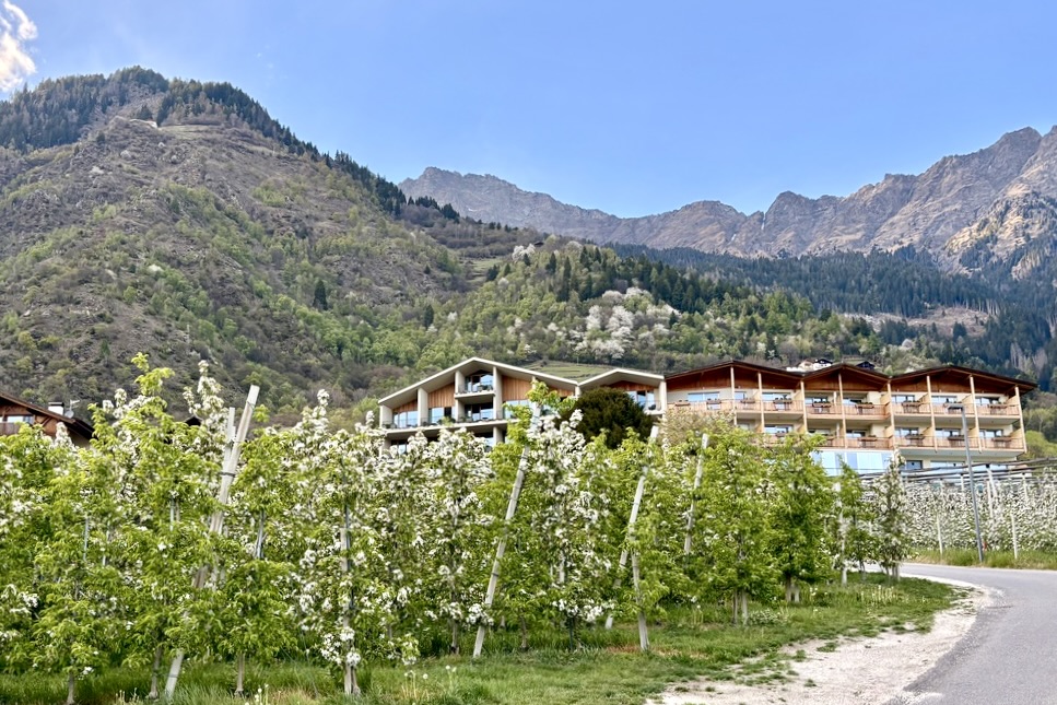 Voel het voorjaar in Zuid-Tirol | Kom wandelen en genieten tussen bergen en bloesem 6 Zus-Tirol hotel Niedermaier omringd door appelbloesem