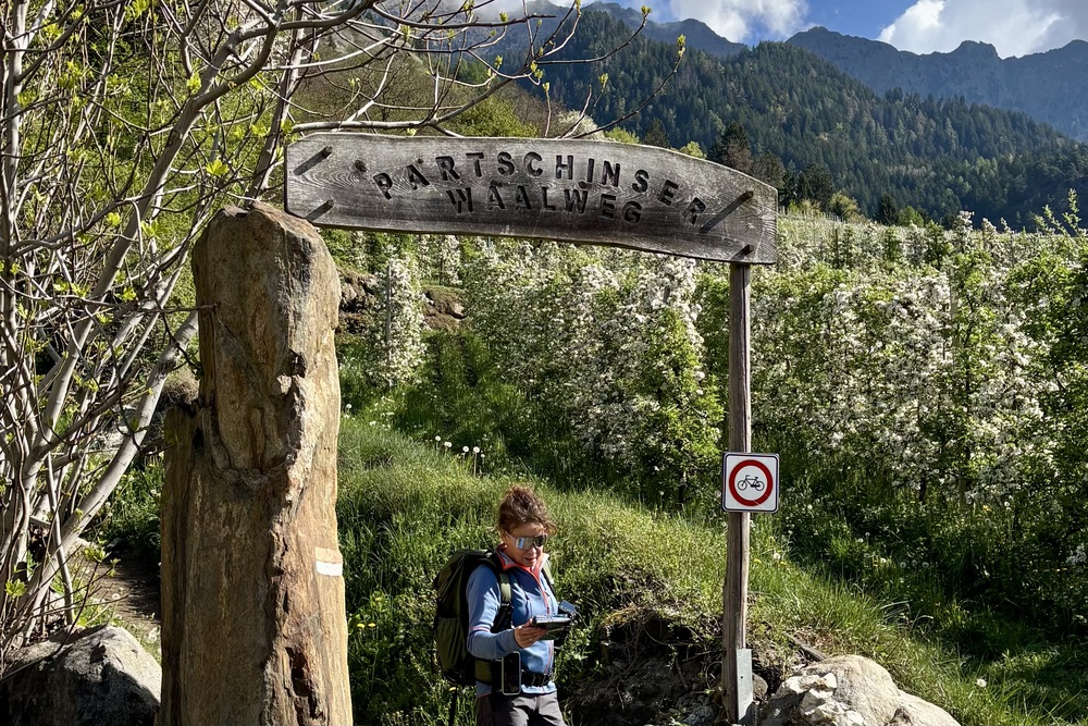 Voel het voorjaar in Zuid-Tirol | Kom wandelen en genieten tussen bergen en bloesem 8 Partschinser Waalweg Zuid-Tirol