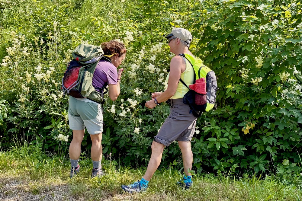 Oberstaufen kruidenwandeling in de Allgäu