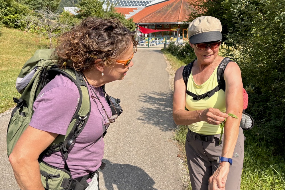 Allgäu kruidenwandeling Oberstaufen