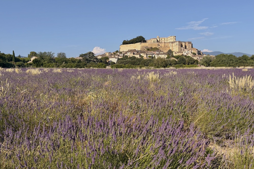 Drôme Provençale | 5 dagen langs lavendel, cultuur & tijdloze dorpen in Zuid-Frankrijk 26 Frankrijk uitzicht op Grignan met het kasteel