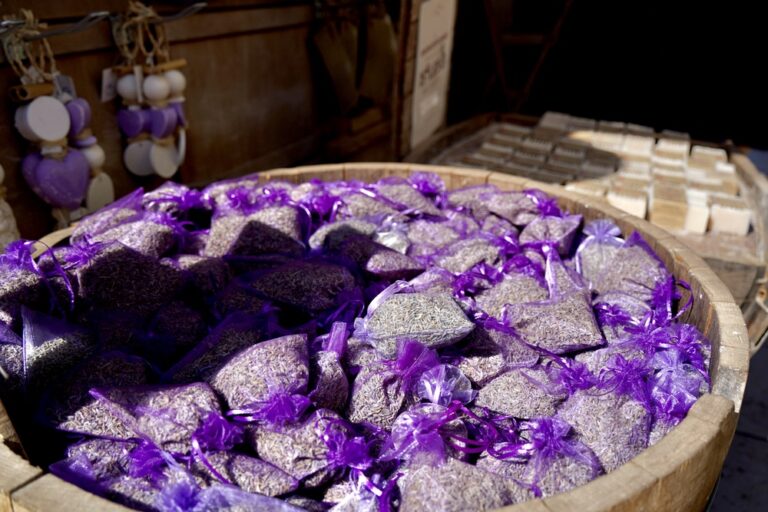 Frankrijk Drôme Provençale lavendel