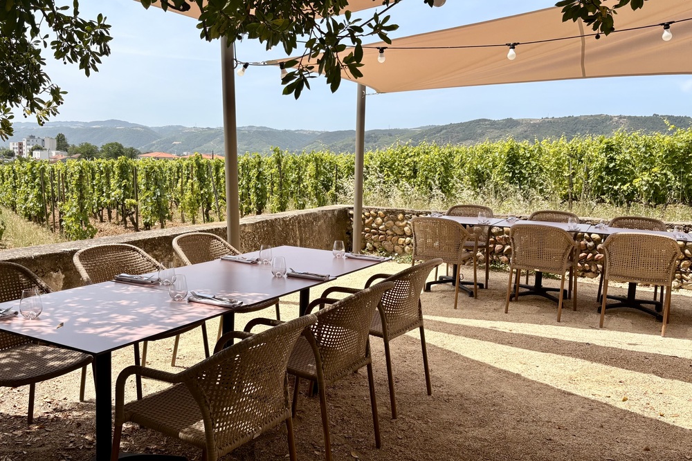 Drôme Provençale | 5 dagen langs lavendel, cultuur & tijdloze dorpen in Zuid-Frankrijk 16 Fief de Gambert cave de Tain Hermitage