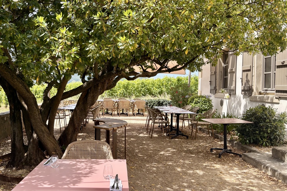 Drôme Provençale | 5 dagen langs lavendel, cultuur & tijdloze dorpen in Zuid-Frankrijk 15 Fief de Gambert cave de Tain Hermitage