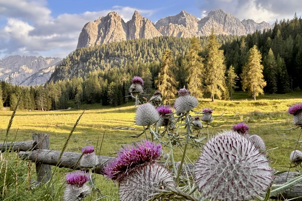 Lago di Sorapis | Complete gids voor mooiste Dolomieten wandeling 2 Dolomieten Passo Tre Croci Lago di Sorapis