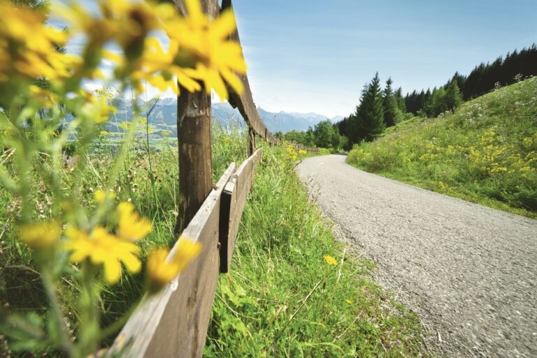Rennradstrecke mit Bergblick © Allgäu GmbH Marc Oeder