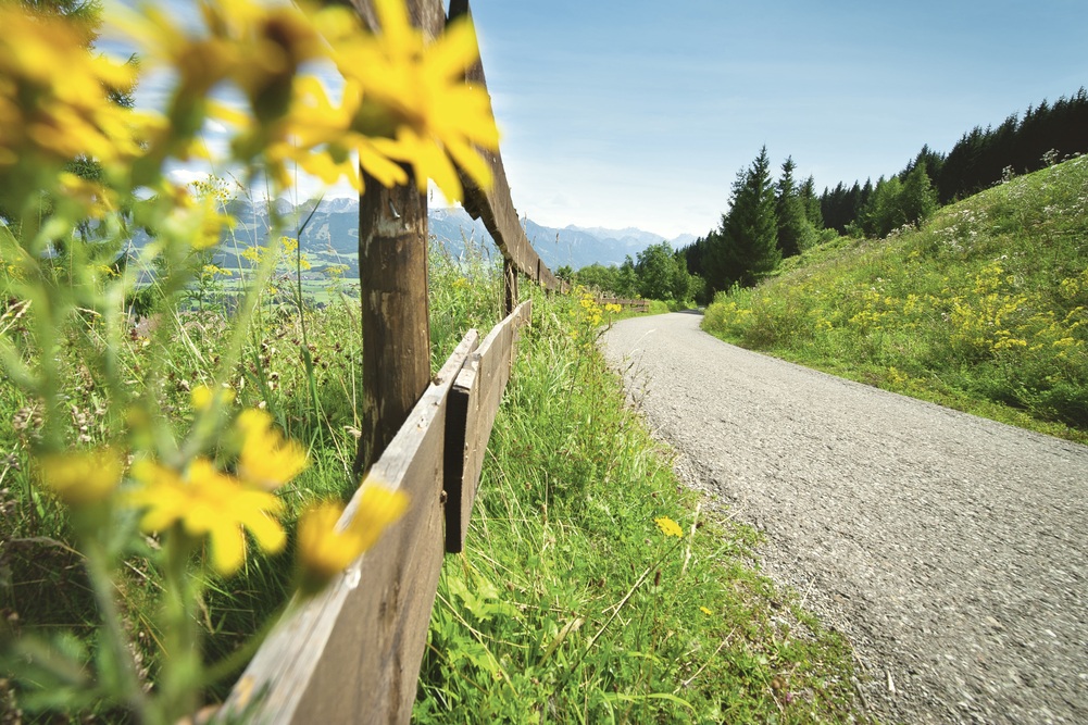 Rennradstrecke mit Bergblick © Allgäu GmbH Marc Oeder