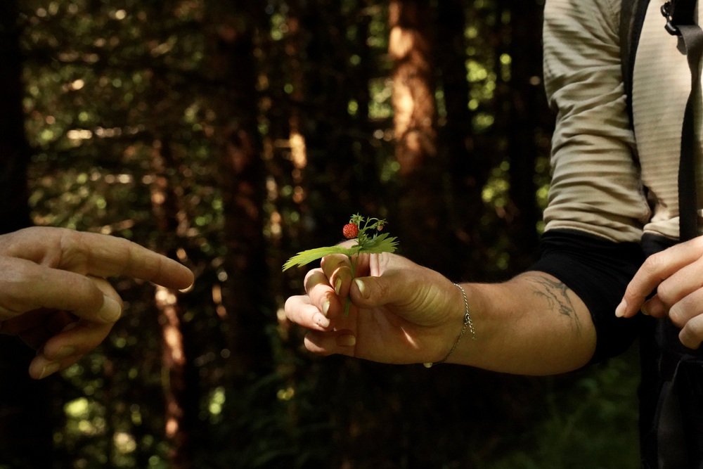 Lechtal - Tirol, Oostenrijk | 5 mooiste activiteiten voor levensgenieters in zomer en de herfst 8 Lechtal Vital Knepp Weg Tirol Oostenrijk