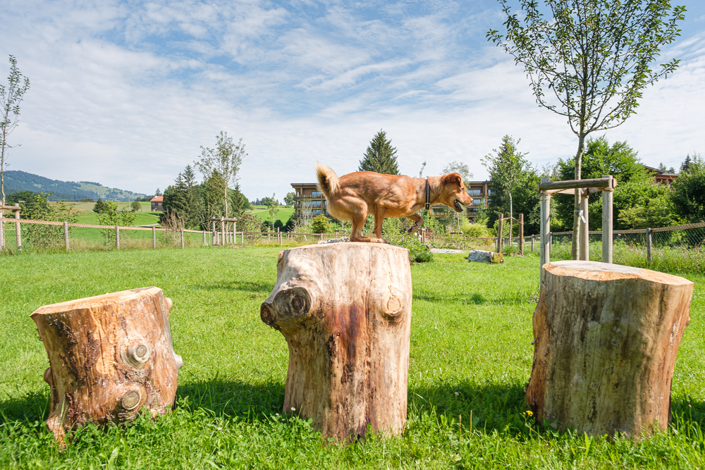 vakantie met hond op de Sonnenalp in de Allgäu in Duitsland