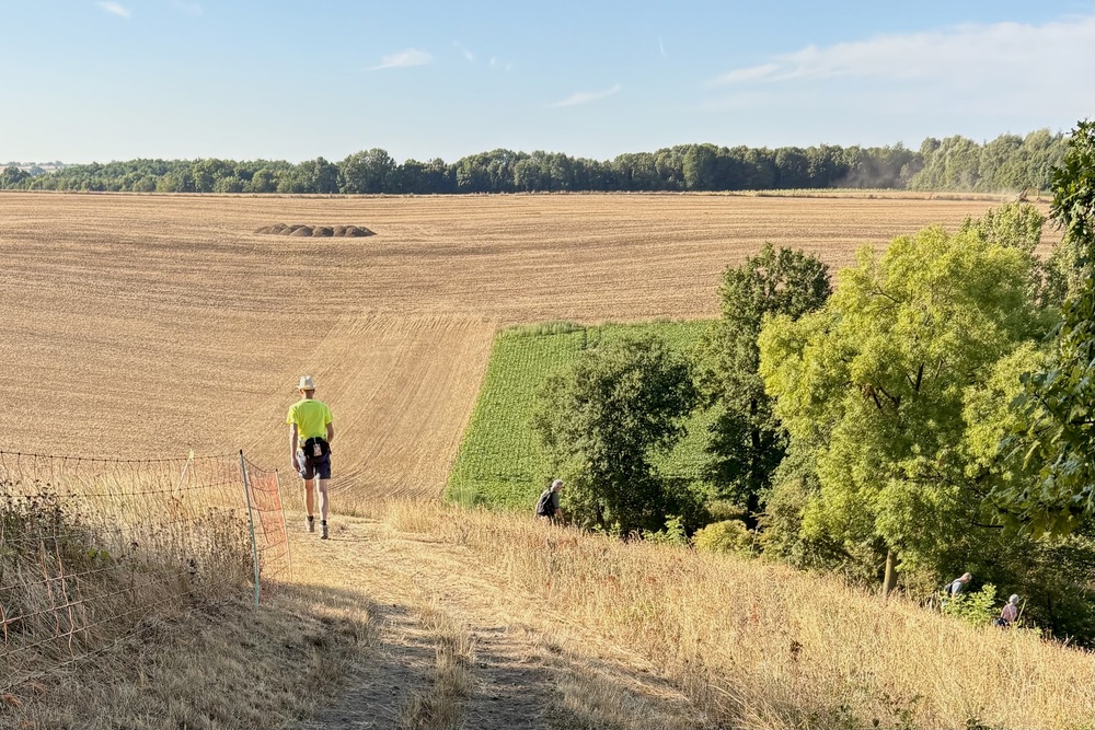 Zuid-Limburg-heuvelland-wandel4daagse
