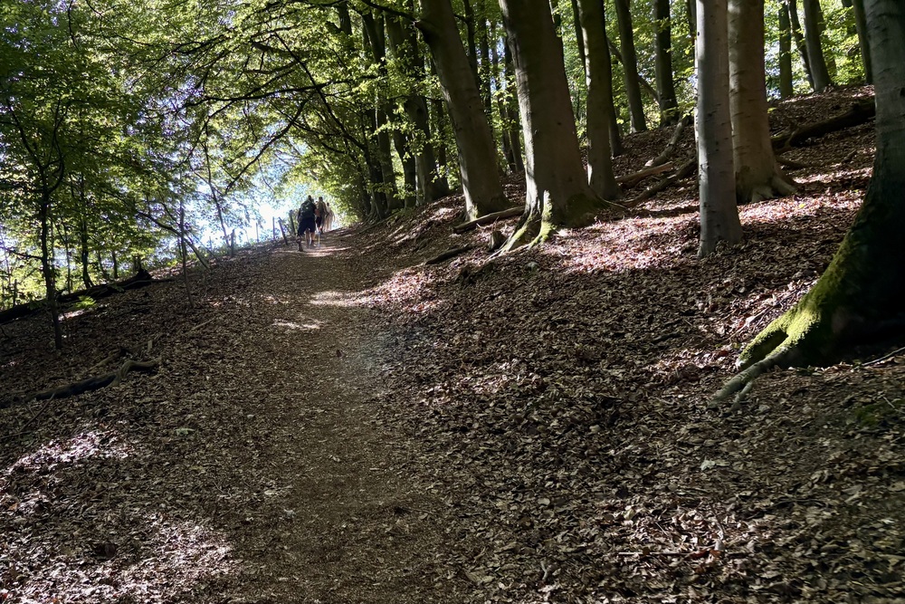 Zuid-Limburg-heuvelland-wandel4daagse-zomer-augustus-hellingbos-ravensbos