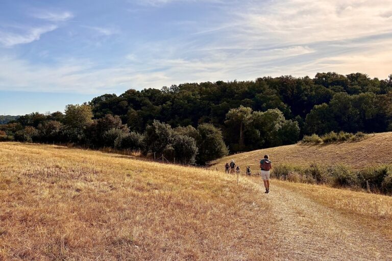 Zuid-Limburg heuvelland wandel4daagse in de zomer in augustus