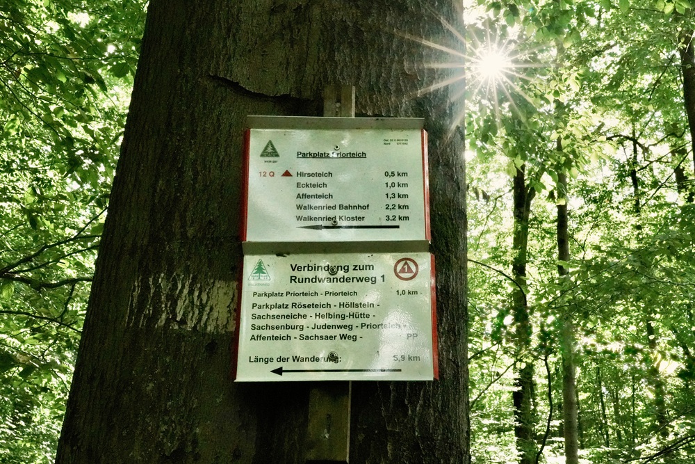 Wat te doen in de Harz | Onze 5 tips voor Nedersaksen 2 Duitsland wandelroutes bij walkenried