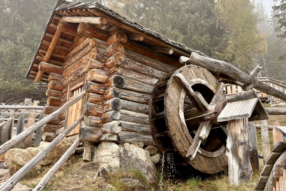 Sexten Helm kinder alm