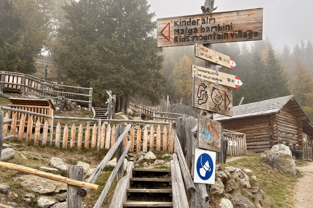 Sexten Helm kinder alm
