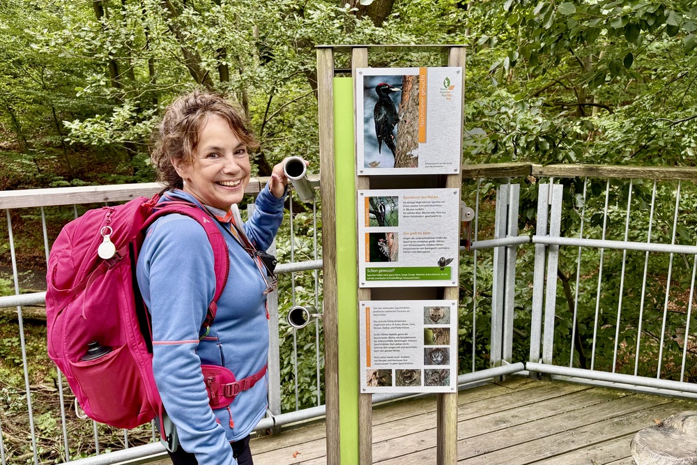 Wat te doen in de Harz | Onze 5 tips voor Nedersaksen 6 Harz Boomkroonpad