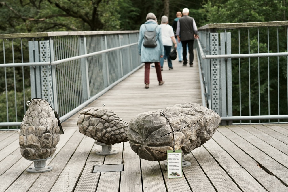 Wat te doen in de Harz | Onze 5 tips voor Nedersaksen 9 Harz Boomkroonpad