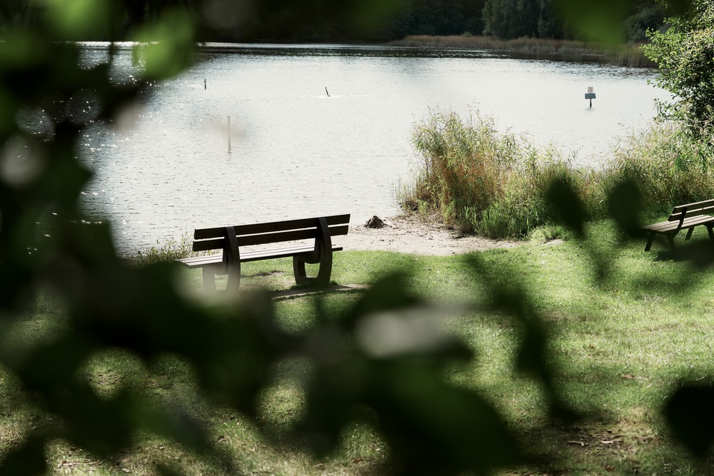 Wat te doen in de Harz | Onze 5 tips voor Nedersaksen 15 Harz Priorteich Walkenried